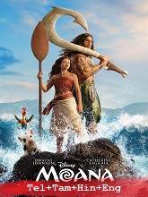 Moana (2026) BRRip Original [Telugu + Tamil + Hindi + Eng] Dubbed Movie Watch Online Free
